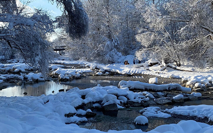 DigitalerProduktPass_Blogpost Digitaler Produktpass