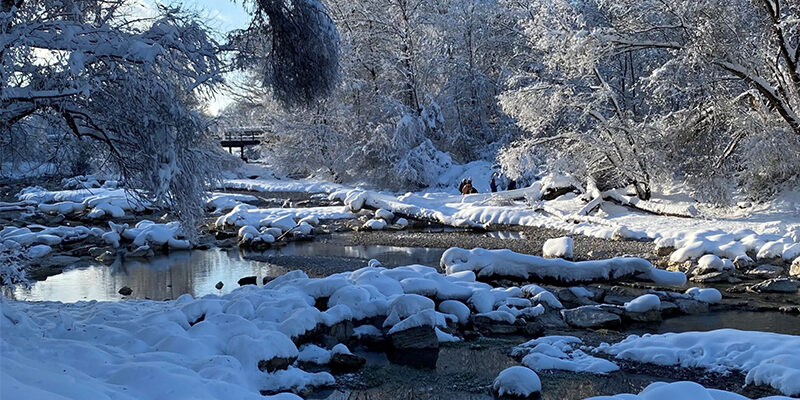 DigitalerProduktPass_Blogpost Digitaler Produktpass