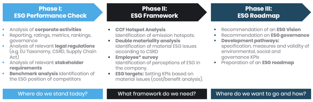 ESG Strategy 3 Steps