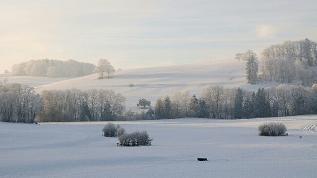 ESG-Stresstests ESG-Stresstest der ESAs