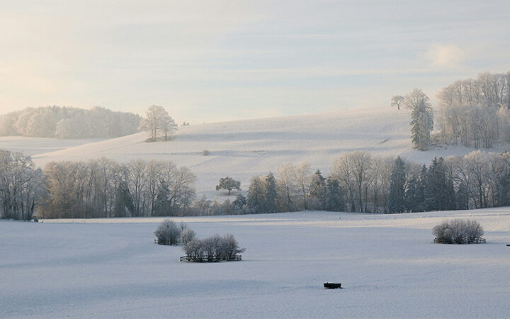 ESG-Stresstests ESG-Stresstest der ESAs