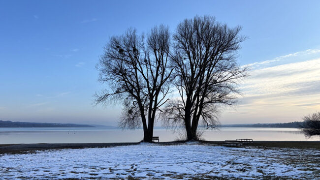 ESG-Trends-2026 ESG Trends 2026