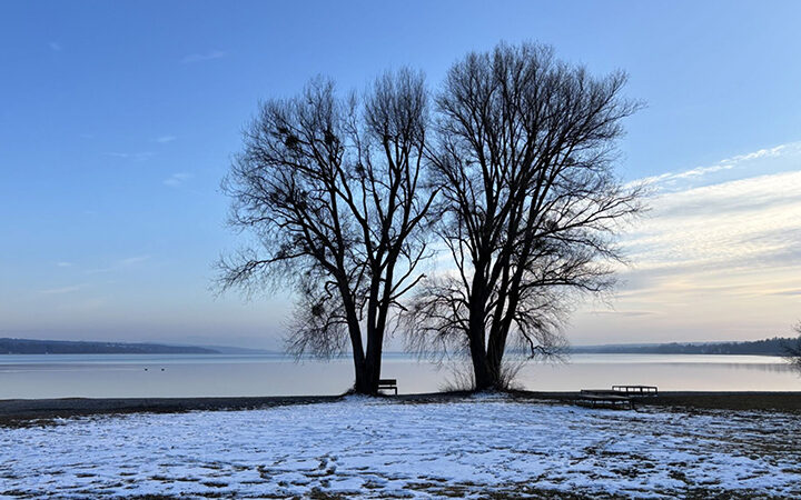 ESG-Trends-2026 ESG Trends 2026