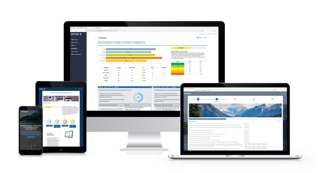 ESG Questionnaire Mockup