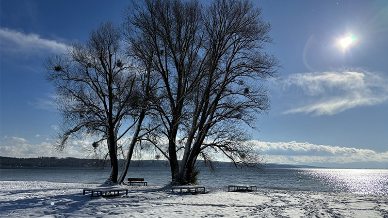 Zwei kahle Bäume stehen an einem verschneiten Seeufer unter strahlender Sonne und blauem Himmel. In der Nähe der Bäume stehen Bänke, die sich perfekt zum Nachdenken über die ESRS-Überarbeitung eignen, während sanfte Wellen schimmern und weit entferntes Land über das Wasser zu sehen ist.
