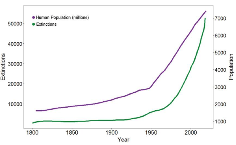 graph showing the extinction course and the human population course