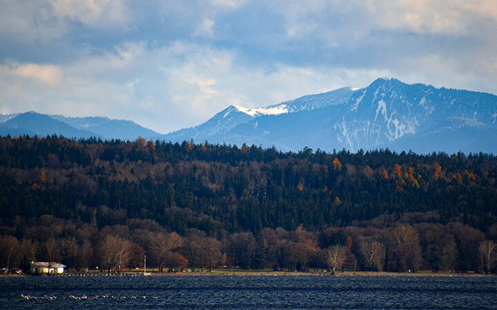 EcoVadis-Amazon EcoVadis als Amazon Suchkriterium