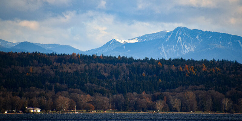 EcoVadis-Amazon EcoVadis als Amazon Suchkriterium