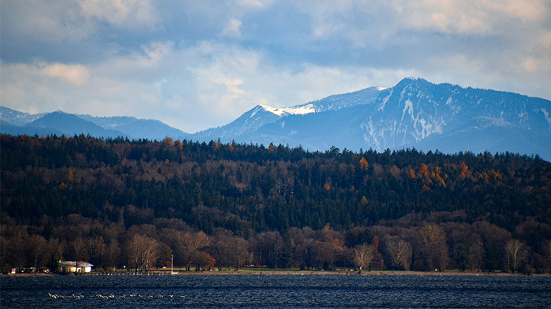 EcoVadis-Amazon EcoVadis als Amazon Suchkriterium