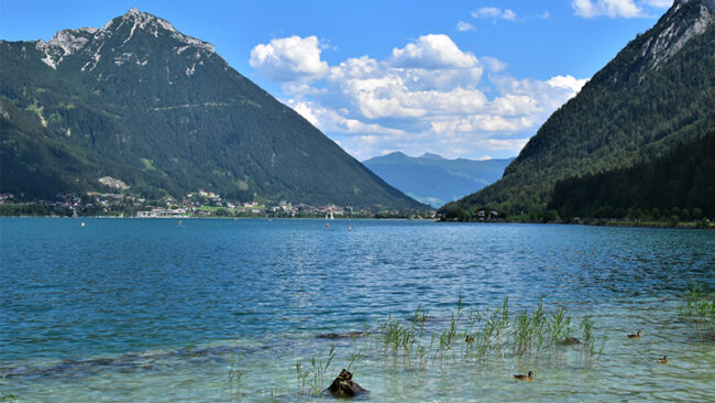 EcoVadis-Methodik-Update Q1 2026 Ein klarer blauer See, umgeben von hohen, bewaldeten Bergen unter einem teilweise bewölkten Himmel. Schilf und Felsen säumen das Ufer, und ein paar Enten schwimmen in der Nähe des Wasserrandes.