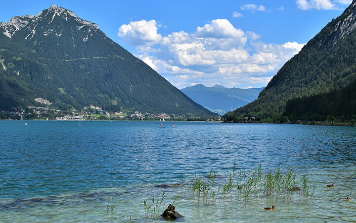 EcoVadis-Methodik-Update Q1 2026 Ein klarer blauer See, umgeben von hohen, bewaldeten Bergen unter einem teilweise bewölkten Himmel. Schilf und Felsen säumen das Ufer, und ein paar Enten schwimmen in der Nähe des Wasserrandes.