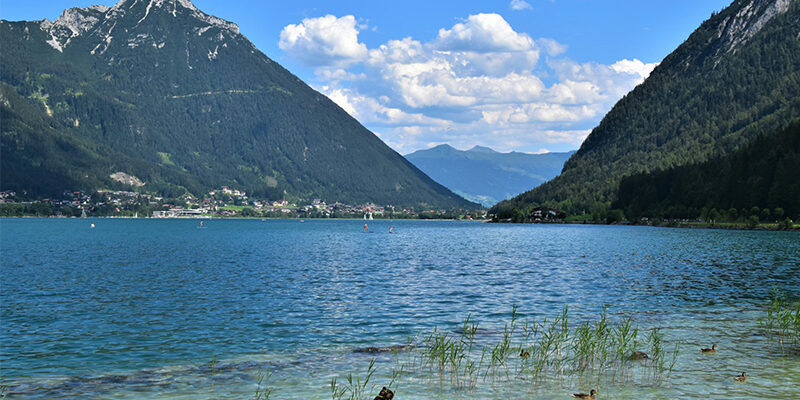 EcoVadis-Methodik-Update Q1 2026 Ein klarer blauer See, umgeben von hohen, bewaldeten Bergen unter einem teilweise bewölkten Himmel. Schilf und Felsen säumen das Ufer, und ein paar Enten schwimmen in der Nähe des Wasserrandes.