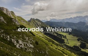 EcoVadis_Webinare_2020_DE