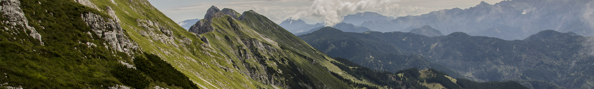 EcoVadis Titelbild Weitwinkel