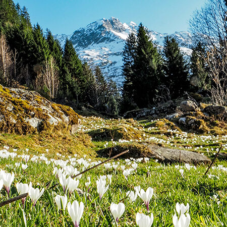 EmpCo-Richtlinie der EU