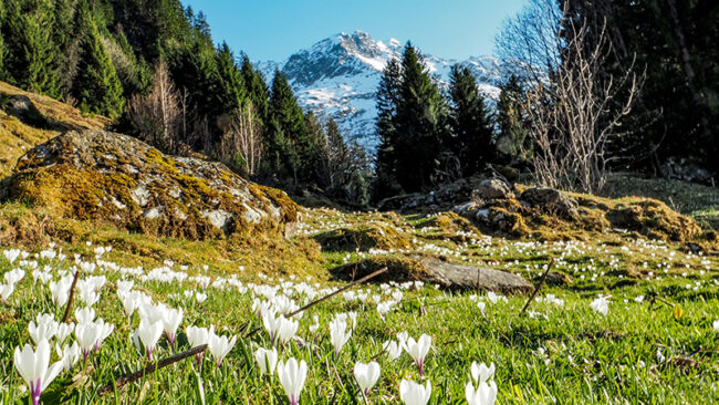 EmpCo-Richtlinie EmpCo-Richtlinie der EU