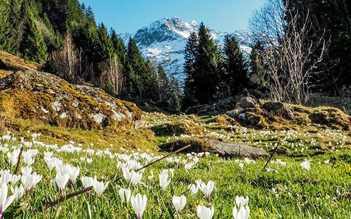 EmpCo-Richtlinie EmpCo-Richtlinie der EU