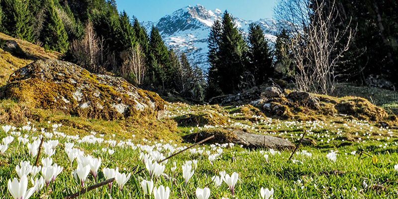 EmpCo-Richtlinie EmpCo-Richtlinie der EU