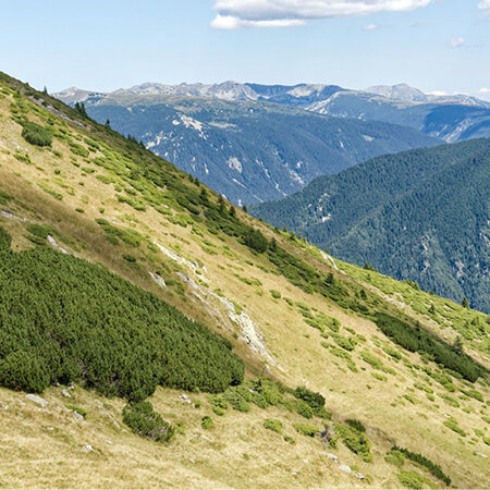 Ein grasbewachsener Hügel mit vereinzelten grünen Sträuchern fällt zu einem bewaldeten Tal hin ab, in dem Gebirgszüge und ein blauer Himmel mit ein paar Wolken in der Ferne zu sehen sind.