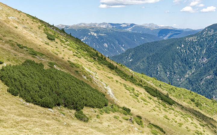 Extremwetter-Kongress Ein grasbewachsener Hügel mit vereinzelten grünen Sträuchern fällt zu einem bewaldeten Tal hin ab, in dem Gebirgszüge und ein blauer Himmel mit ein paar Wolken in der Ferne zu sehen sind.