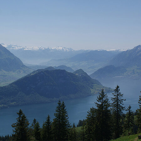 Ein malerischer Blick auf einen See, umgeben von bewaldeten Hügeln und entfernten schneebedeckten Bergen unter einem klaren blauen Himmel. Hohe immergrüne Bäume stehen im Vordergrund.