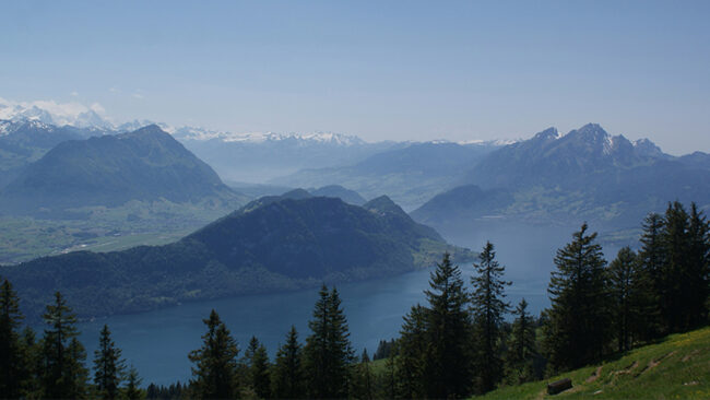 GreenWeek2026 Ein malerischer Blick auf einen See, umgeben von bewaldeten Hügeln und entfernten schneebedeckten Bergen unter einem klaren blauen Himmel. Hohe immergrüne Bäume stehen im Vordergrund.
