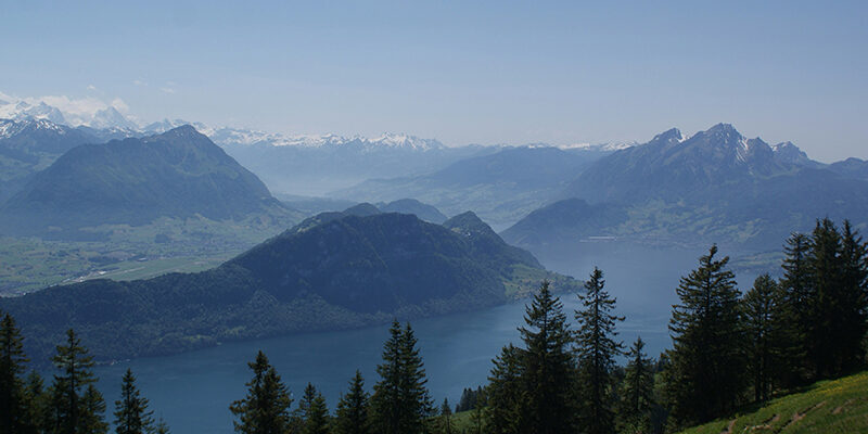 GreenWeek2026 Ein malerischer Blick auf einen See, umgeben von bewaldeten Hügeln und entfernten schneebedeckten Bergen unter einem klaren blauen Himmel. Hohe immergrüne Bäume stehen im Vordergrund.