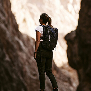 Grenzebach Case Study