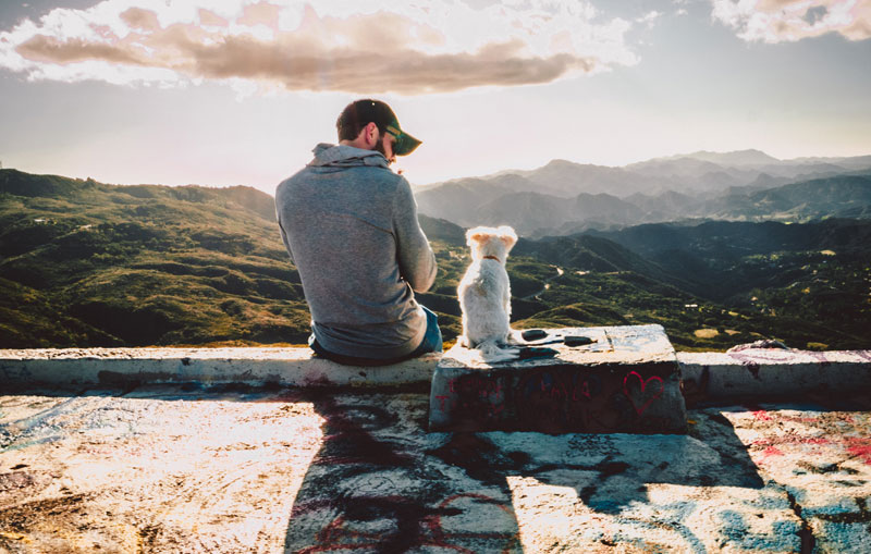 picture of a man and a dog in front of mountains