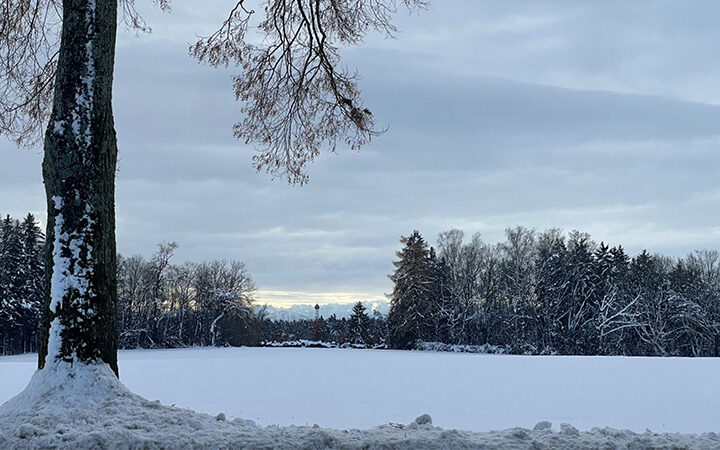 ImpactSBTs-Report Impact von SBTs auf Unternehmen