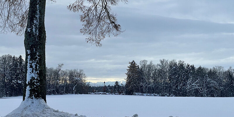 ImpactSBTs-Report Impact von SBTs auf Unternehmen