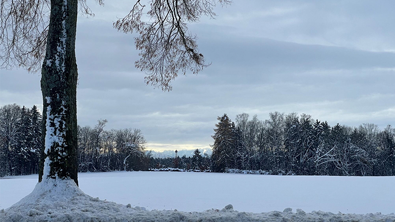 Eine Schneelandschaft mit einem großen Baum im Vordergrund, schneebedecktem Boden und einer Reihe von Bäumen im Hintergrund unter einem wolkenverhangenen Himmel evoziert die ruhige Unverwüstlichkeit von Science-Based Targets Erfolgstreibern, die nachhaltigen Erfolg anleiten.