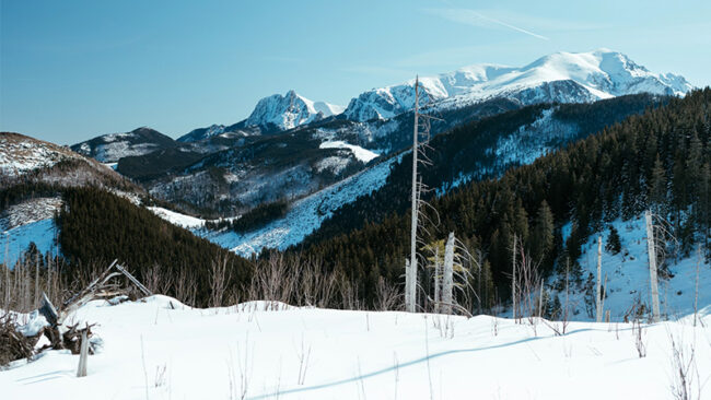 Internal Enablement Engine Sustainability Reporting as Internal Enablement Engine