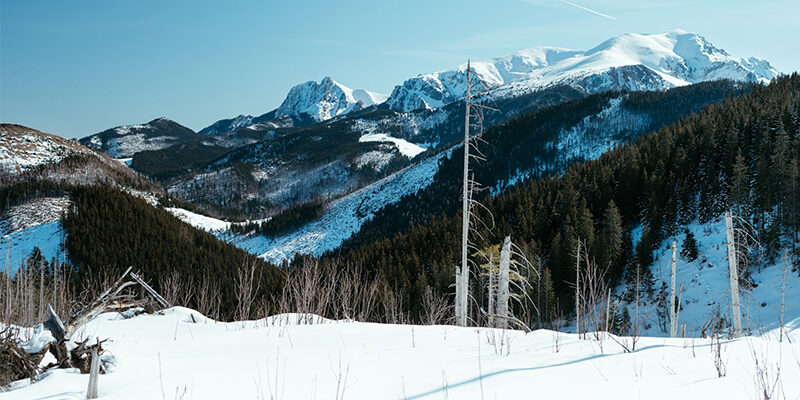 Internal Enablement Engine Sustainability Reporting as Internal Enablement Engine