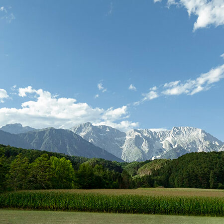 Eine malerische Landschaft mit einem grünen Feld und dichten Bäumen im Vordergrund und hohen, zerklüfteten Bergen unter einem blauen Himmel mit vereinzelten weißen Wolken im Hintergrund.