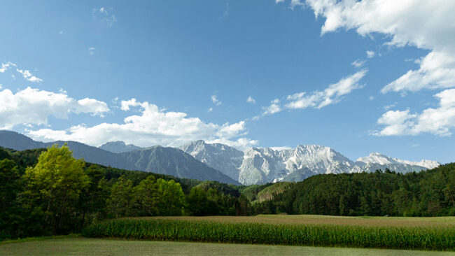 KI-ESG-Ratings Eine malerische Landschaft mit einem grünen Feld und dichten Bäumen im Vordergrund und hohen, zerklüfteten Bergen unter einem blauen Himmel mit vereinzelten weißen Wolken im Hintergrund.