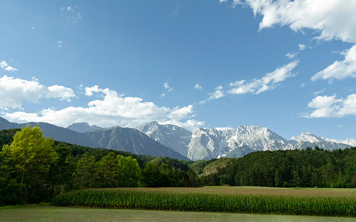 KI-ESG-Ratings Eine malerische Landschaft mit einem grünen Feld und dichten Bäumen im Vordergrund und hohen, zerklüfteten Bergen unter einem blauen Himmel mit vereinzelten weißen Wolken im Hintergrund.