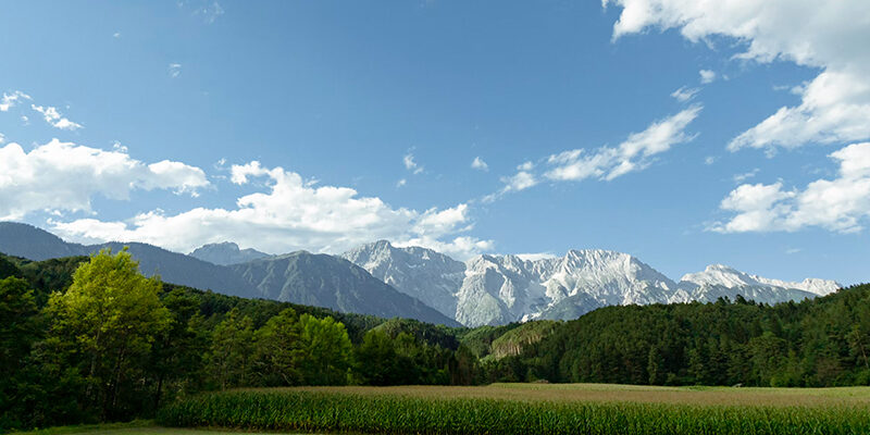 KI-ESG-Ratings Eine malerische Landschaft mit einem grünen Feld und dichten Bäumen im Vordergrund und hohen, zerklüfteten Bergen unter einem blauen Himmel mit vereinzelten weißen Wolken im Hintergrund.