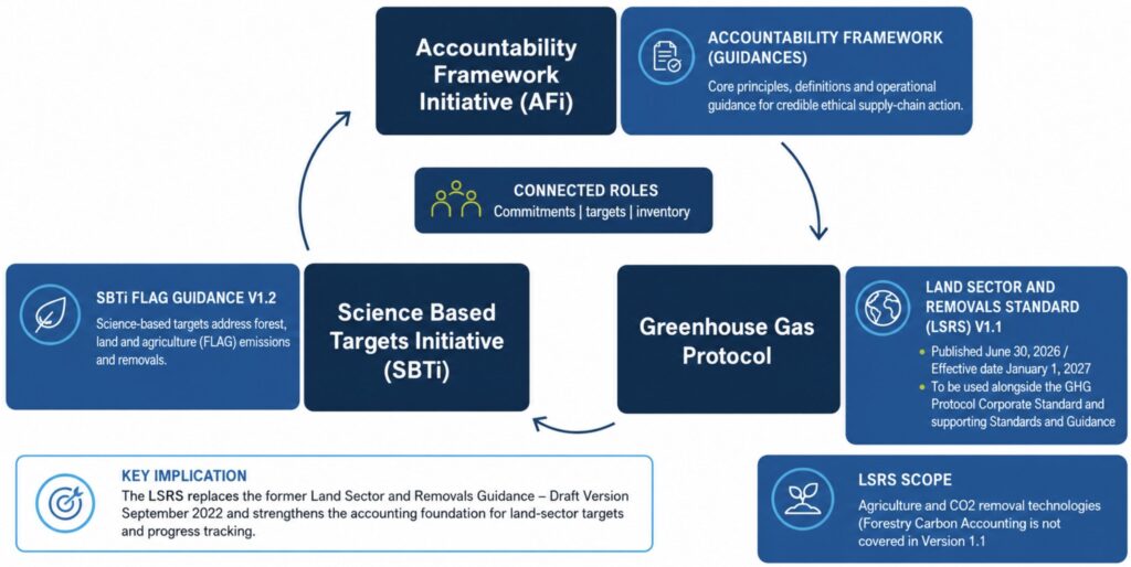Ein Flussdiagramm veranschaulicht, wie die „Accountability Framework Initiative“, die SBTi und das GHG Protocol mit den Leitlinien für den Landnutzungssektor und den Emissionssenkungen zusammenhängen, und erläutert dabei die jeweiligen Rollen, die Versionen der Leitlinien sowie die Auswirkungen auf Zielvorgaben, Bestandsaufnahmen und Emissionen.