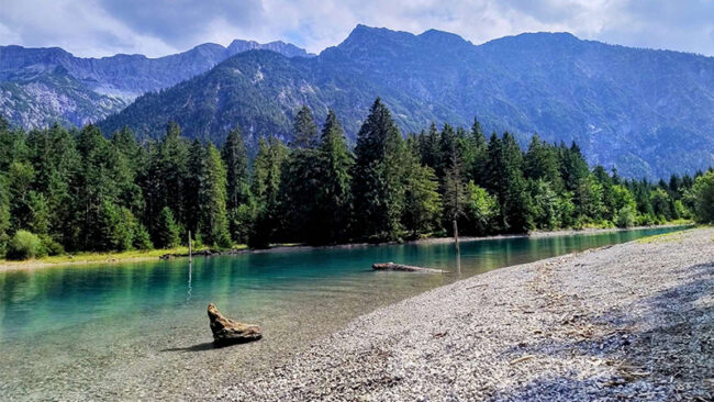 LSRS_Beitragsbild Ein klarer, blauer See mit Treibholz am felsigen Ufer, umgeben von dichtem, grünem Wald und hohen Bergen unter einem bewölkten Himmel.