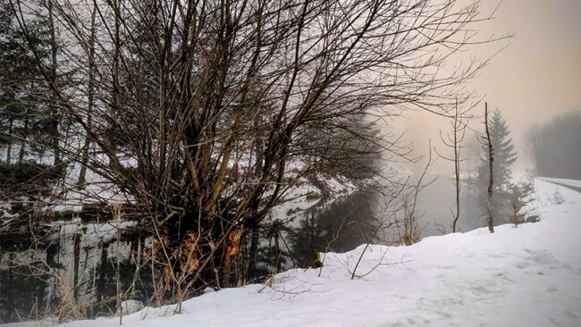 Land Sector and Removals Standard Land Sector and Removals Standard