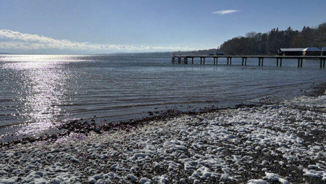 OECD Global Sustainability Report 2025 OECD Global Sustainability Report 2025