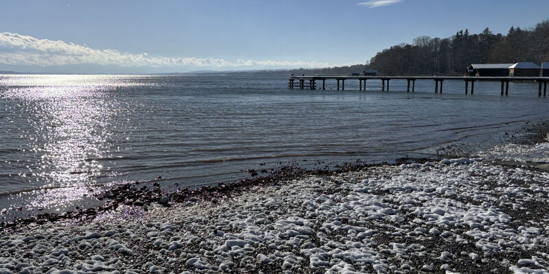 OECD Global Sustainability Report 2025 OECD Global Sustainability Report 2025