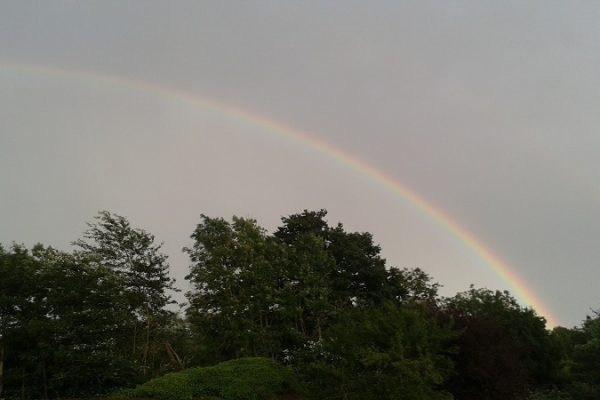 picture of a rainbow illustrating the blog article about megatrends