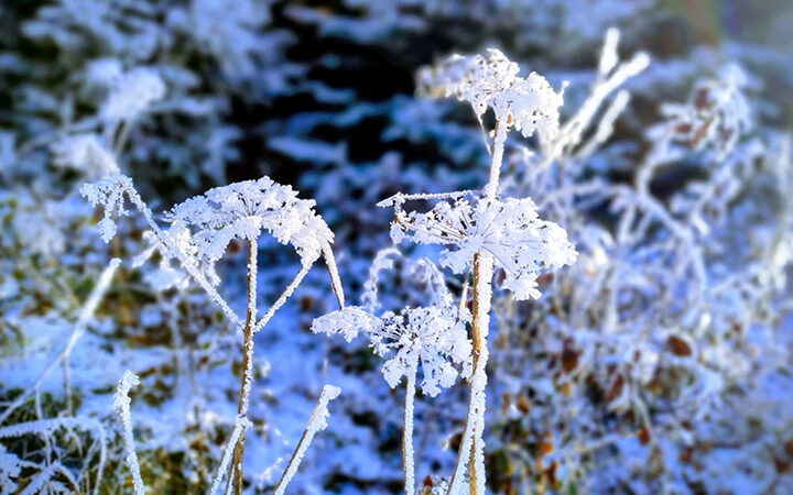 RateTheRaters Rate The Raters