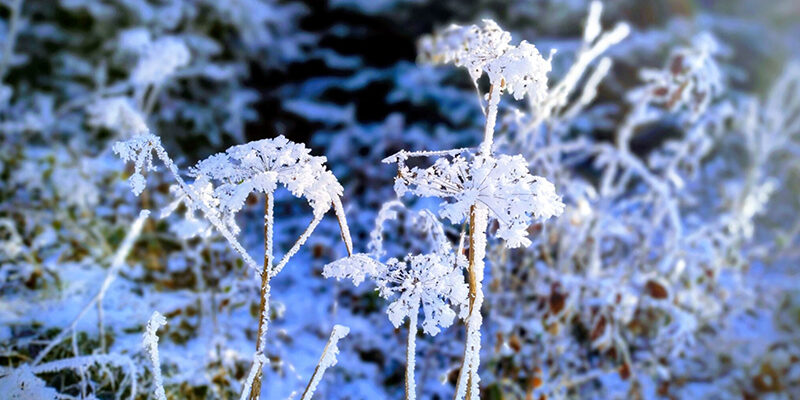 RateTheRaters Rate The Raters