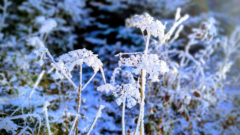 RateTheRaters Rate The Raters