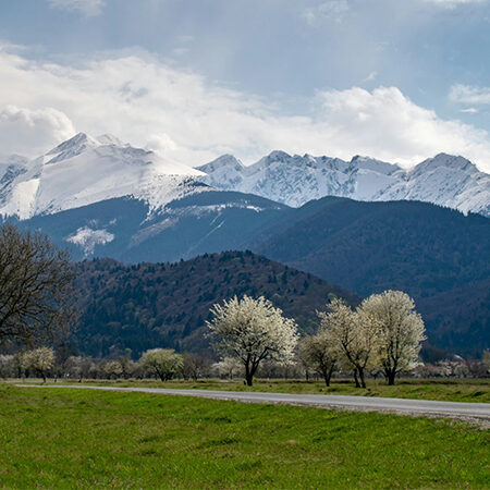 SBTi Validation für KMU