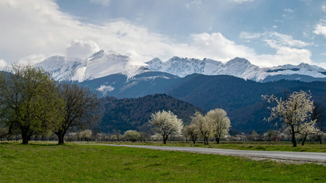 SBT-KMU SBTi Validation für KMU