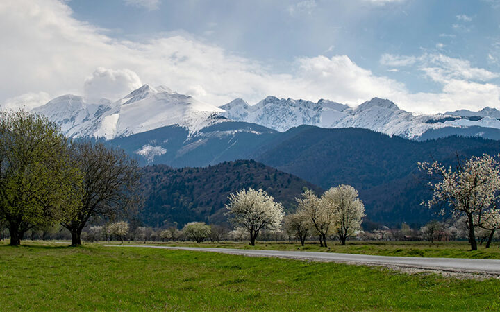 SBT-KMU SBTi Validation für KMU